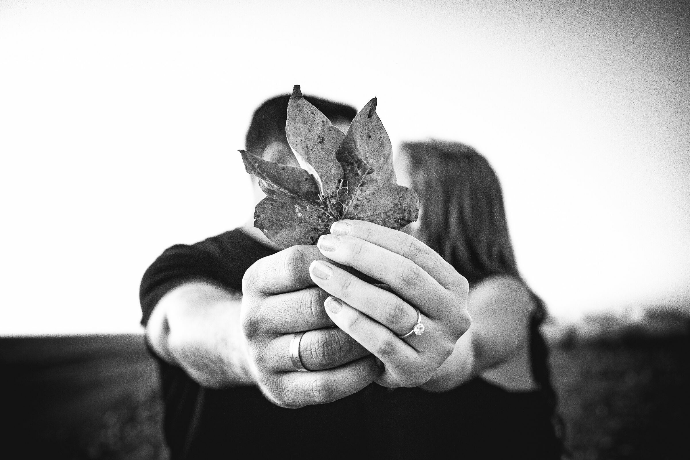 Foto de Fernando Vilarindo Foto e Video 34