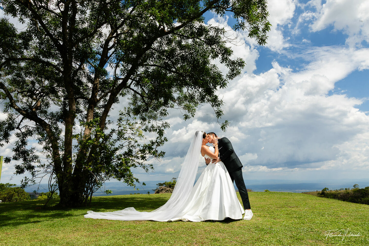 Ana Júlia & Paulo Augusto